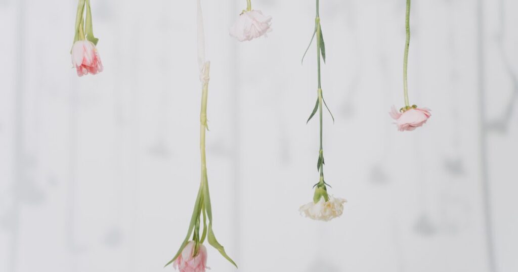 花　カーネーションやチューリップをドライフラワーにする